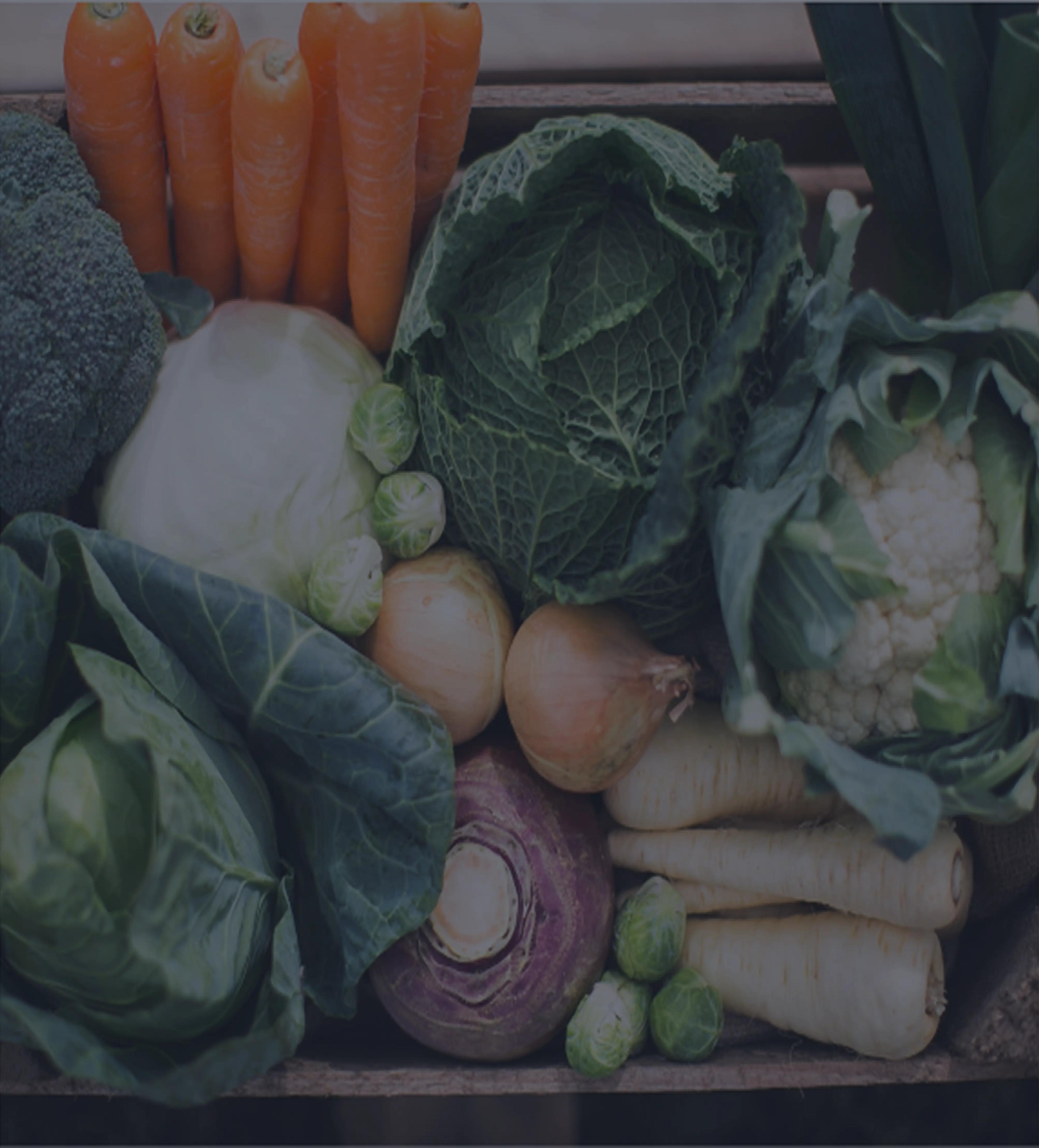 Delivery Docket Management